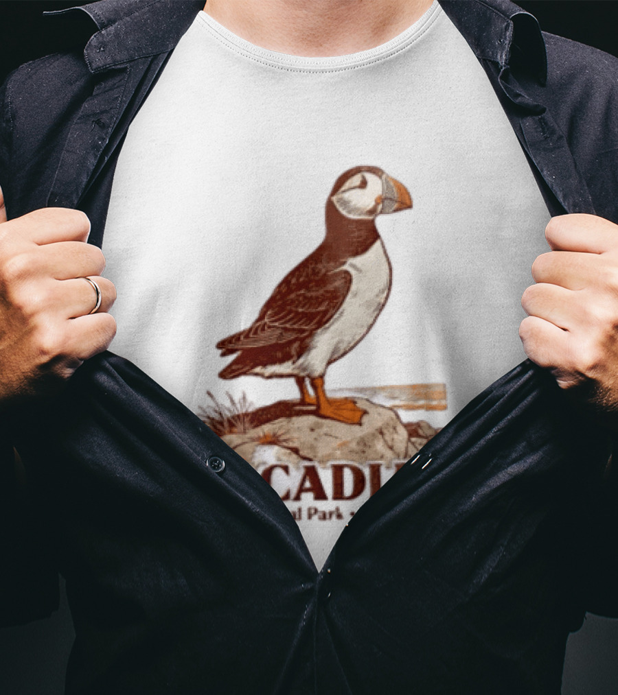 Acadia National Park Maine Puffin Standing On Rock T-Shirt