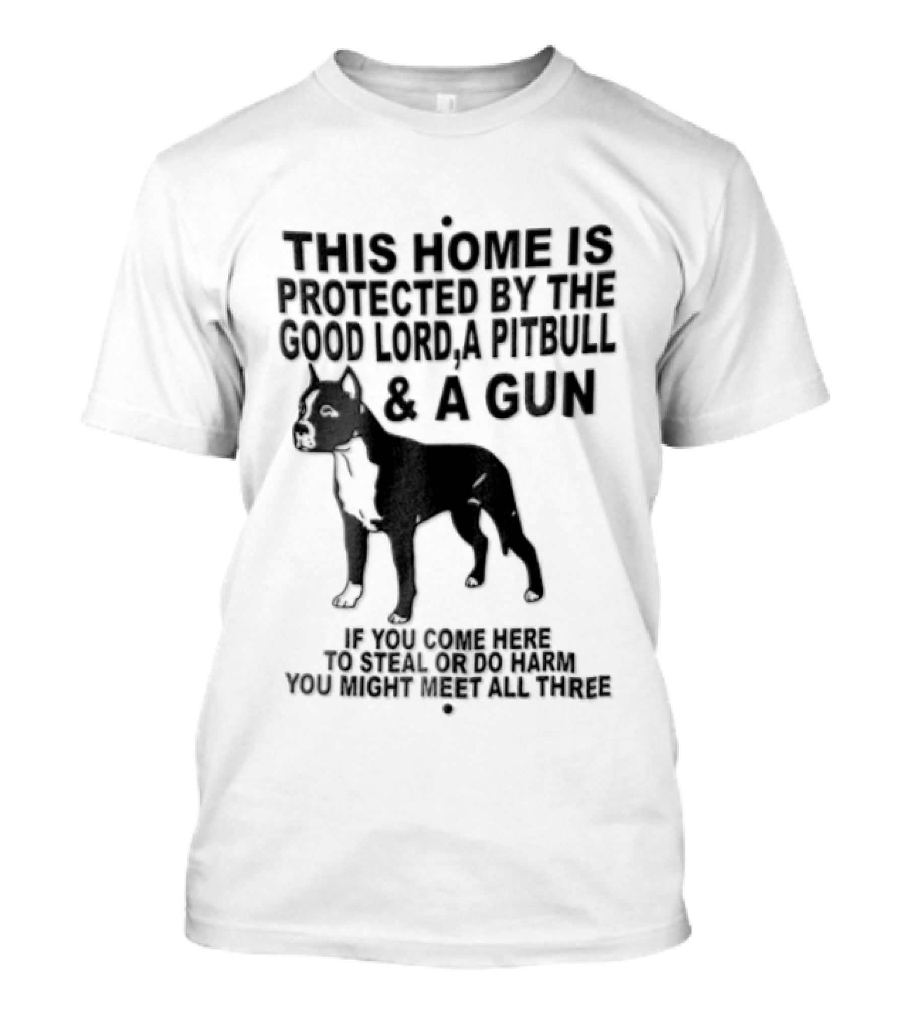 This Home Is Protected By The Good Lord A Pitbull And A Gun If You Come Here To Steal Or Do Harm You Might Meet Them Both T-Shirt