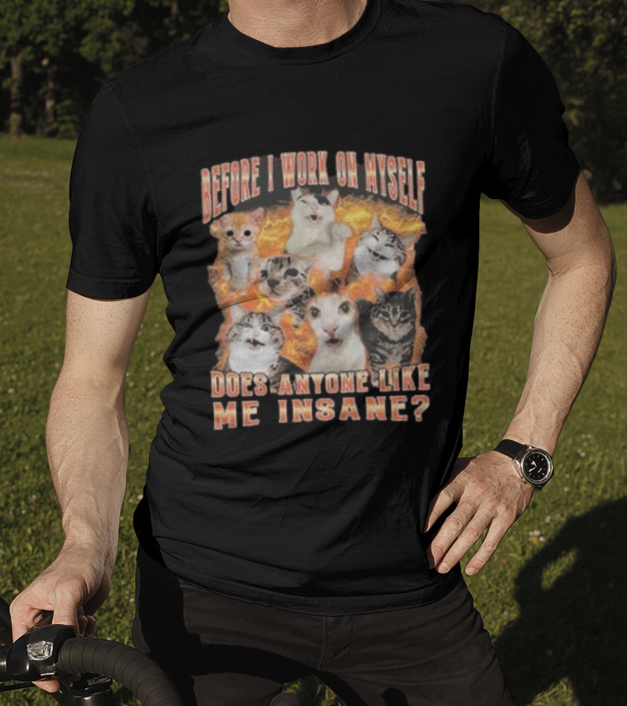 Before I Work On Myself Does Anyone Like Me Insane Cats T-Shirt