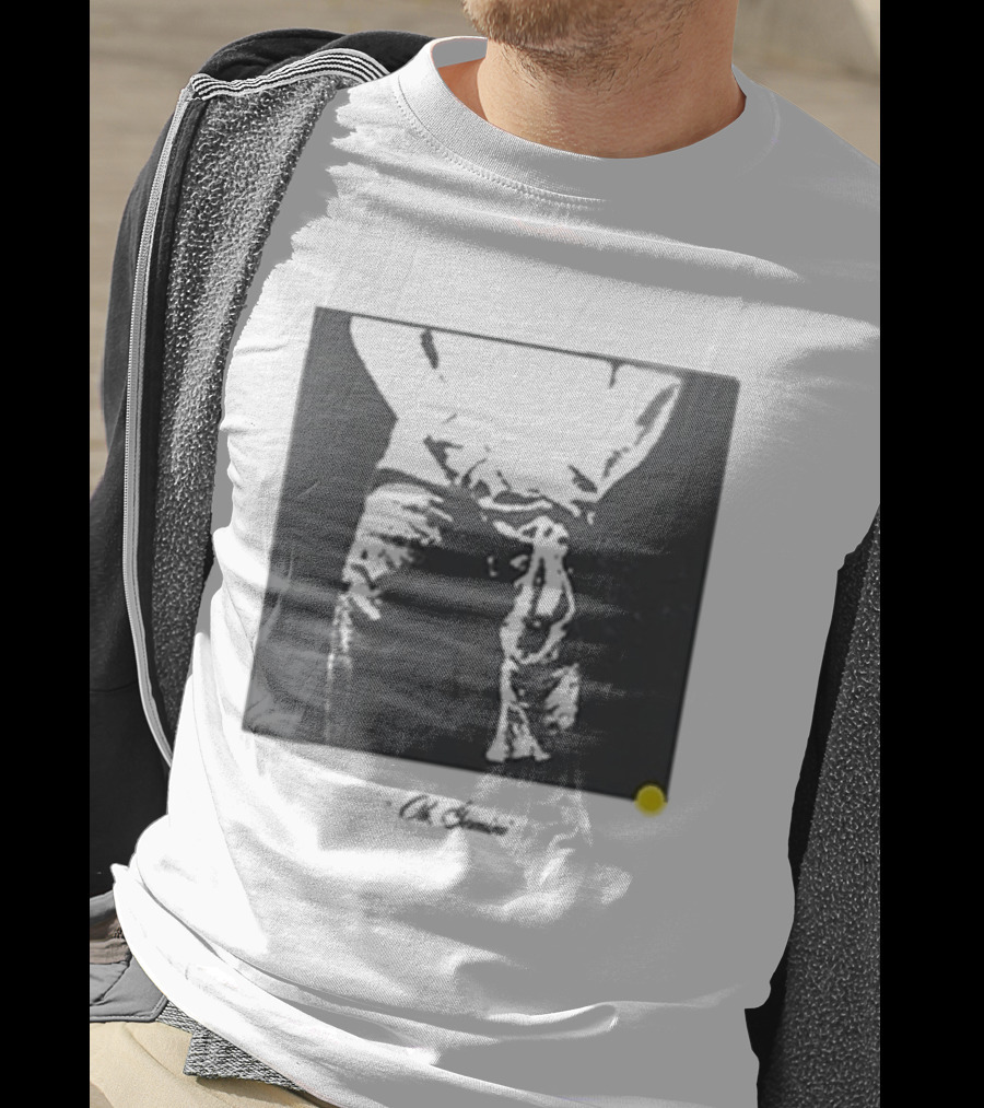 Oh Gemini Role Model Photo T-Shirt