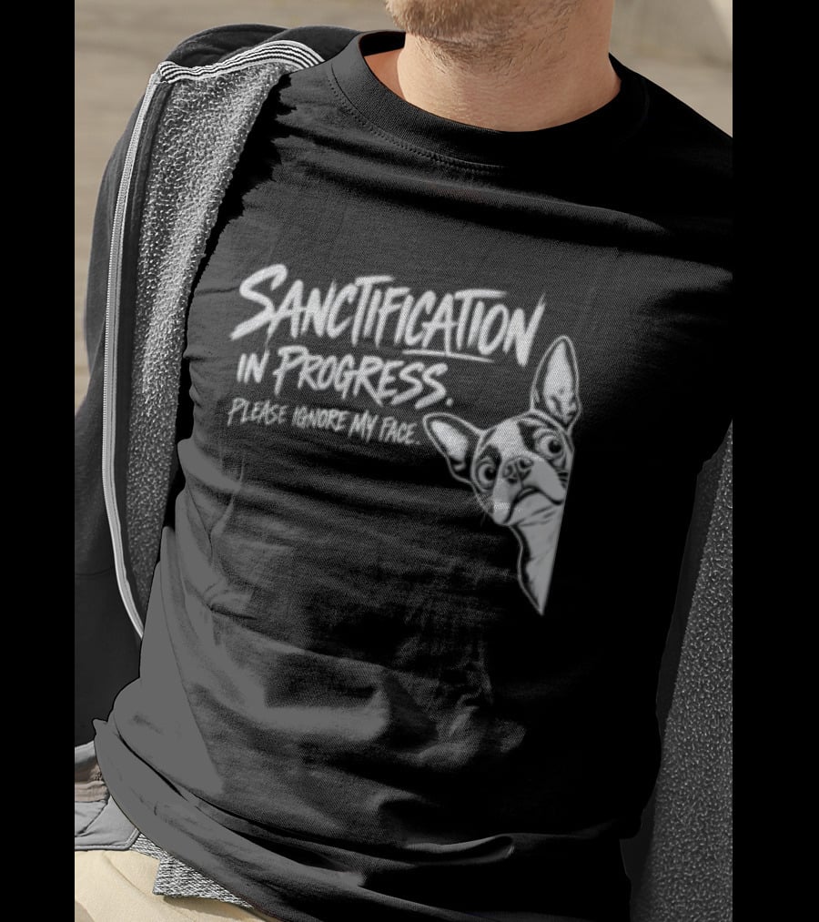 Sanctification In Progress Please Ignore My Face Funny Animal T-Shirt