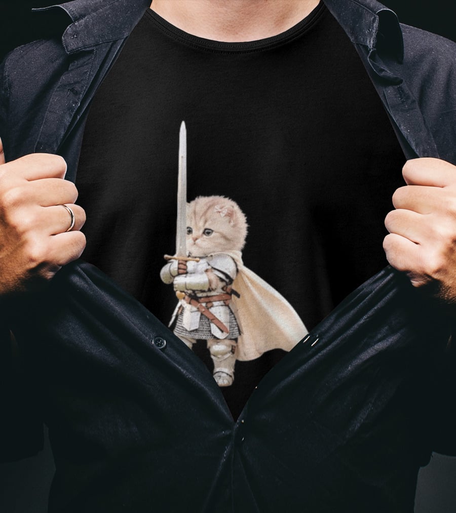 Medieval Cat Knight Meme Cute Kitten In Armor With Sword T-Shirt