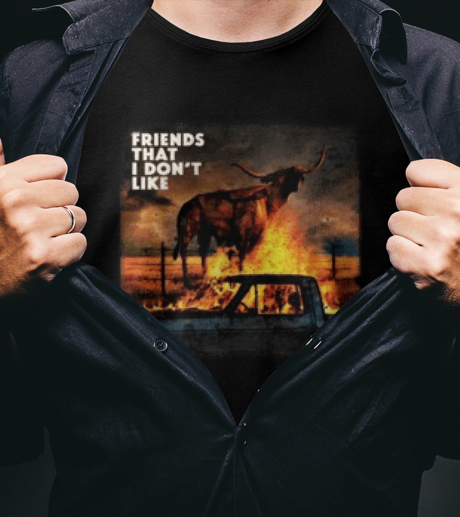 FRIENDS THAT I DON'T LIKE Dexter And The Moonrocks Store Fire Album T-Shirt