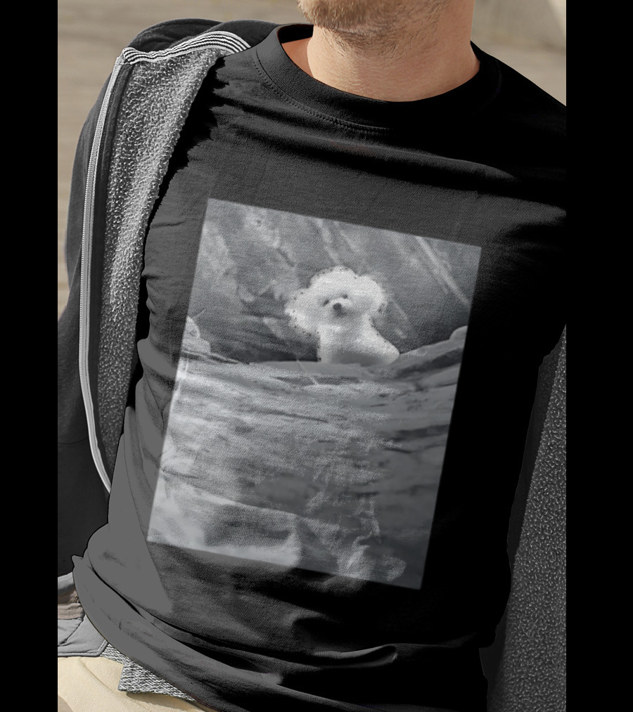 Peeking Fluffy Dog In Rocky Landscape T-Shirt