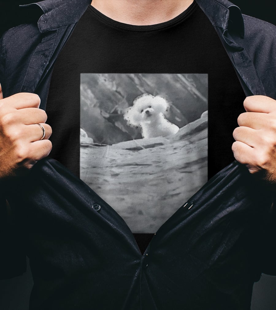 Peeking Fluffy Dog In Rocky Landscape T-Shirt