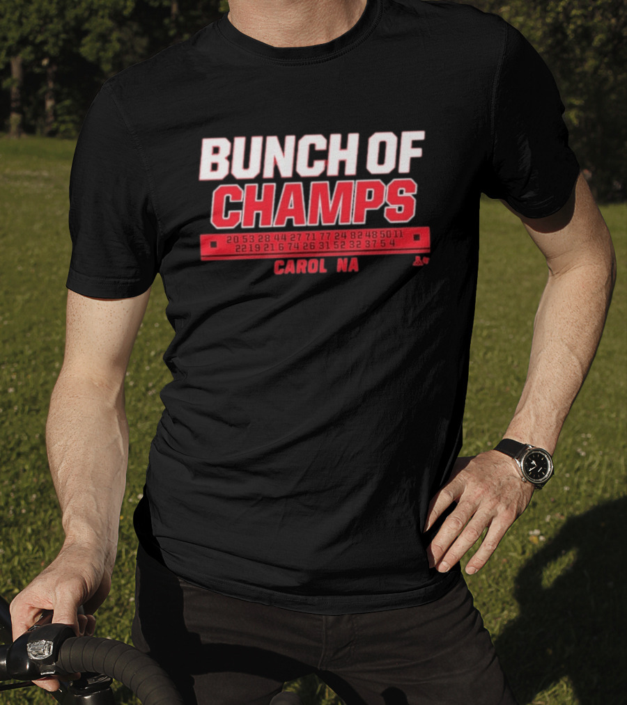 Bunch Of Champs Carolina Hockey Numbers Series T-Shirt