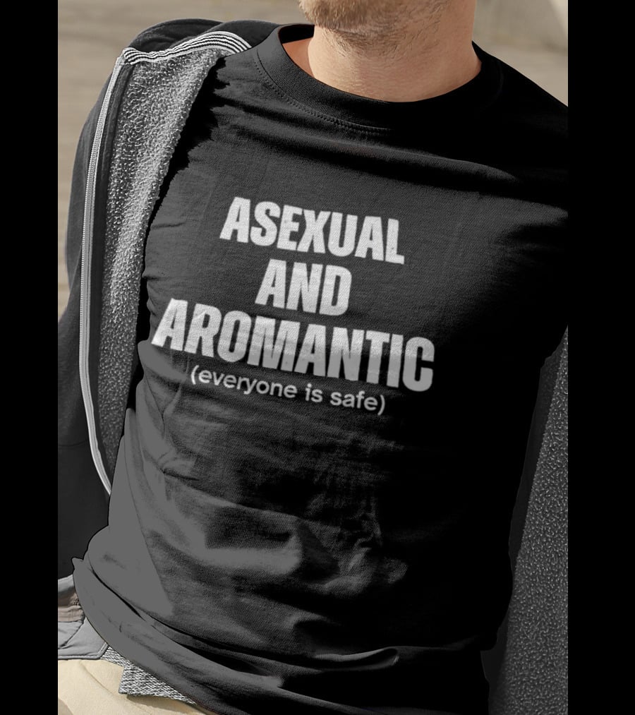 Asexual And Aromantic Everyone Is Safe Inclusive Message T-Shirt
