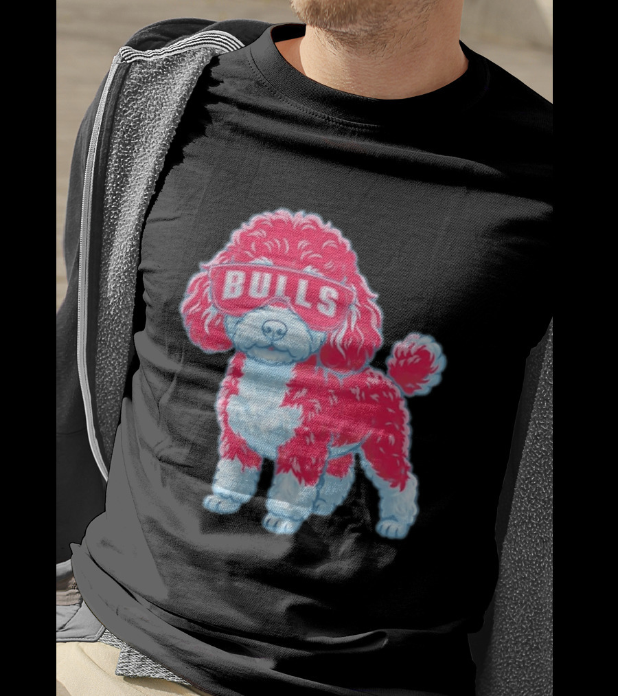 Chicago Bulls Poodle Cartoon Glasses T-Shirt