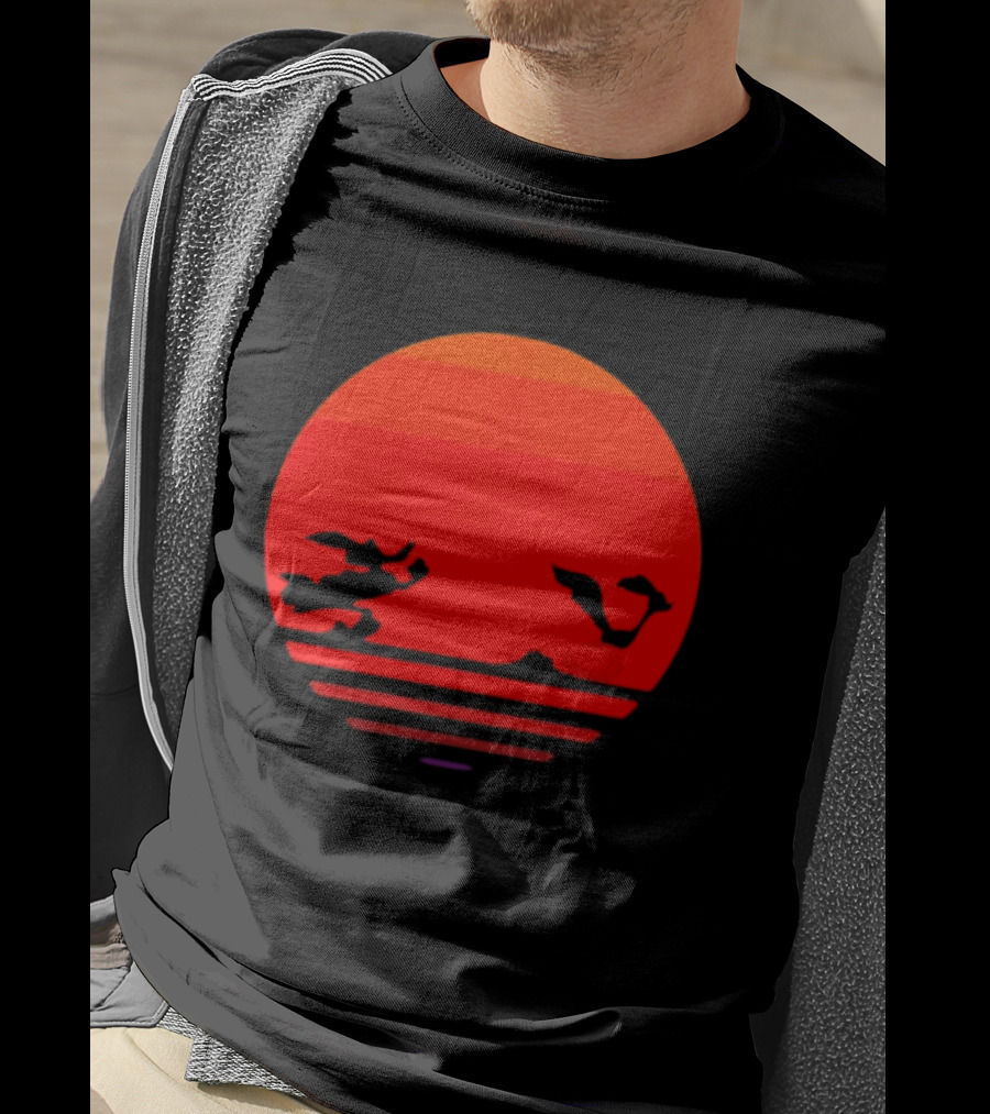 Wile E Coyote And Road Runner Sunset Chase T-Shirt