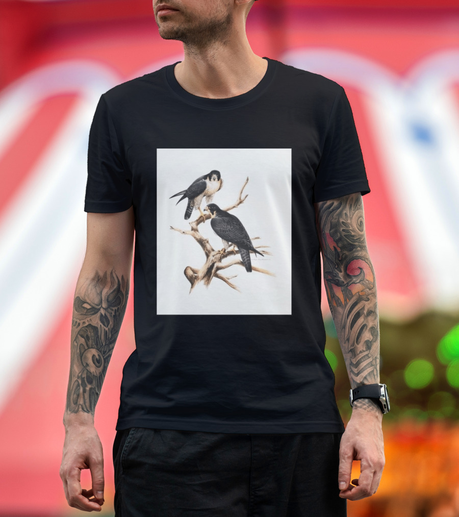 Roger Tory Peterson Peregrines 2026 Adult Ash Bird T-Shirt