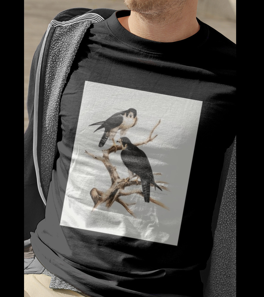Roger Tory Peterson Peregrines 2026 Adult Ash Bird T-Shirt