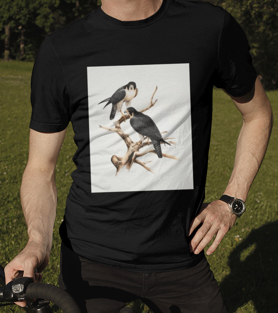 Roger Tory Peterson Peregrines 2026 Adult Ash Bird T-Shirt