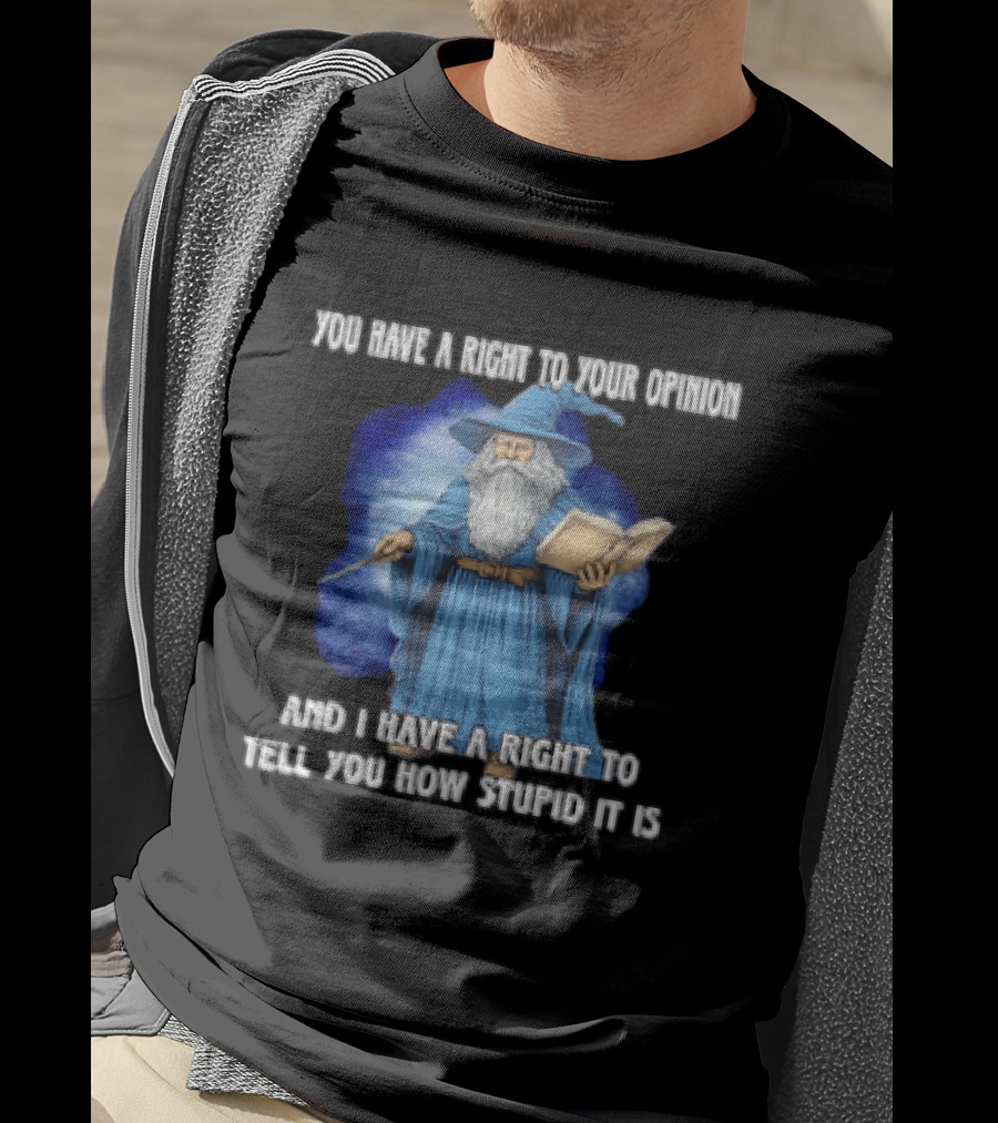 Wizard You Have A Right To Your Opinion And I Have A Right To Tell You How Stupid It Is T-Shirt
