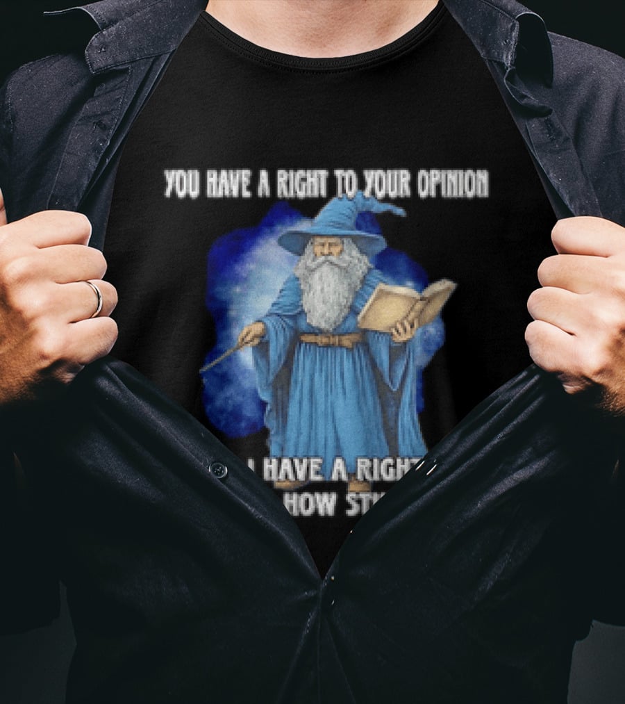 Wizard You Have A Right To Your Opinion And I Have A Right To Tell You How Stupid It Is T-Shirt
