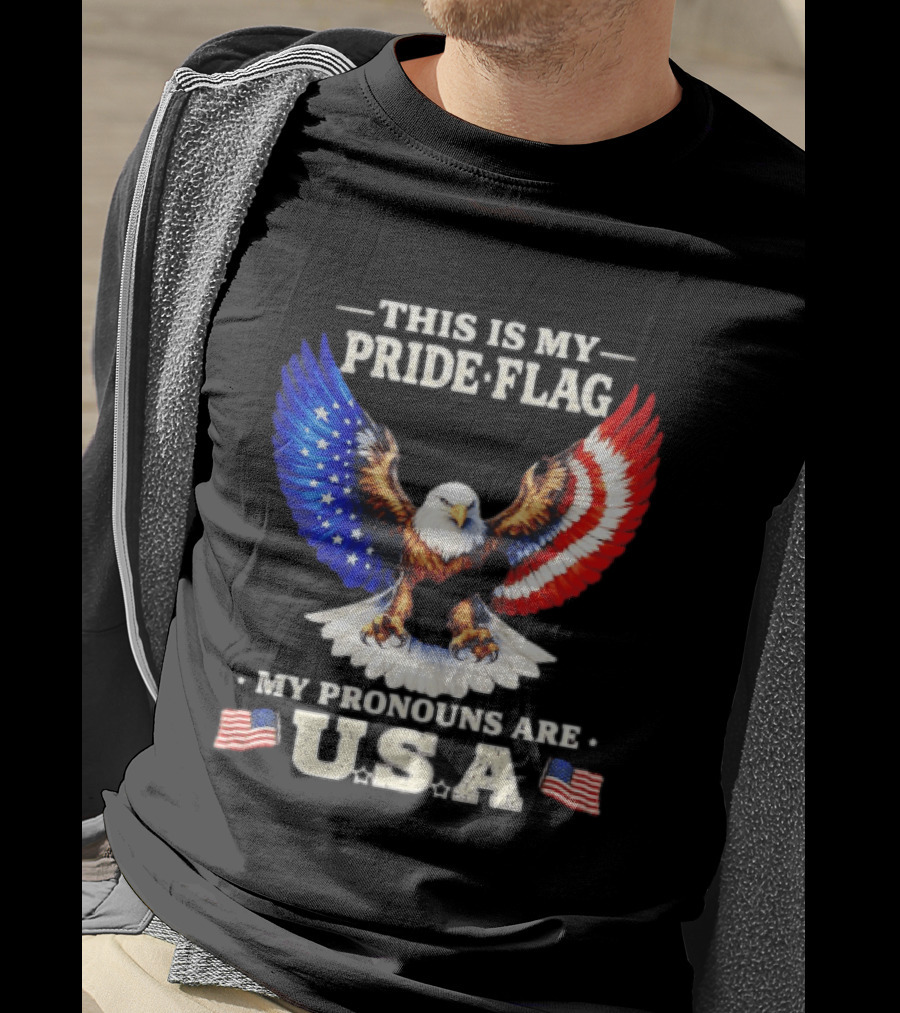 This Is My Pride Flag American Eagle My Pronouns Are USA T-Shirt