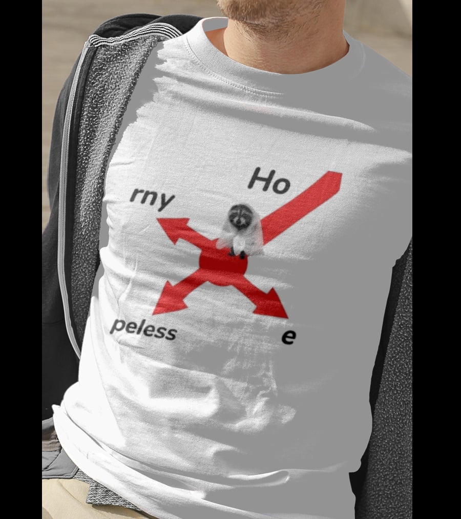 Raccoon Meme Ho Rny Peless Compass T-Shirt