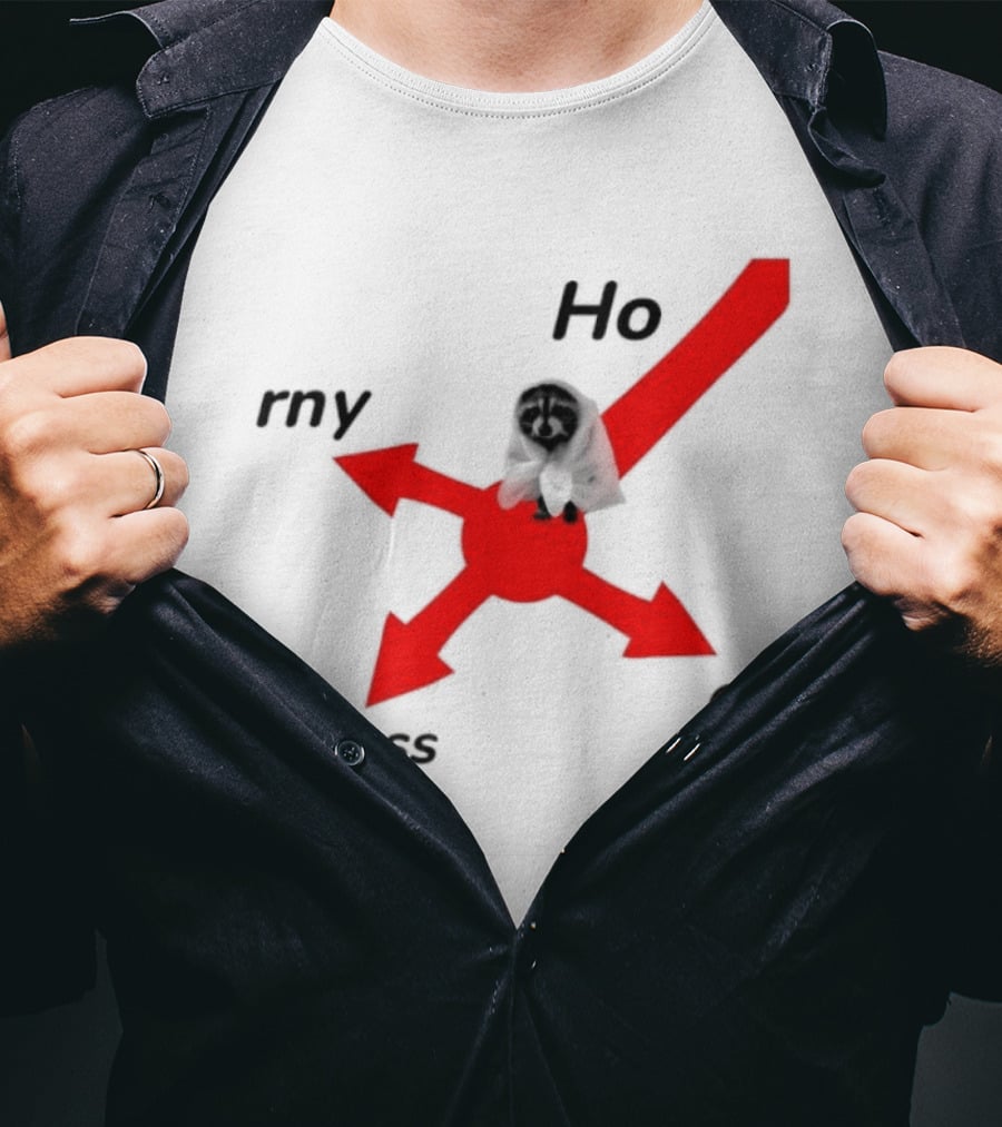 Raccoon Meme Ho Rny Peless Compass T-Shirt