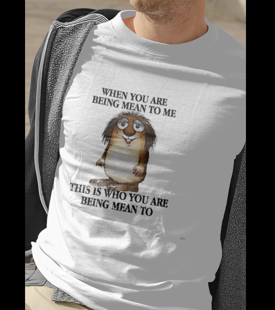When You Are Being Mean To Me This Is Who You Are Being Mean To Brown Furry Cartoon T-Shirt