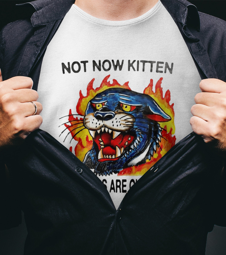 Not Now Kitten Fiery Panther The Walls Are Closing T-Shirt