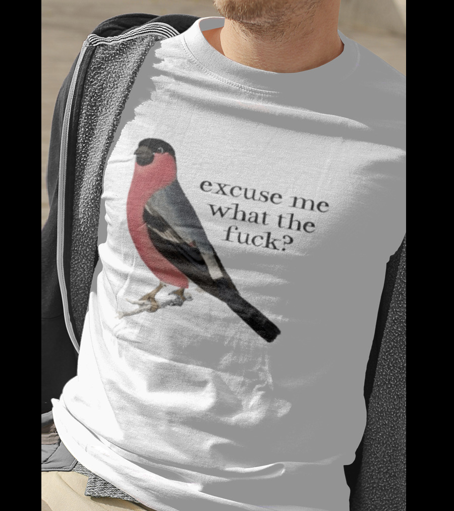 Eurasian Bullfinch Bird Excuse Me What The Fuck T-Shirt