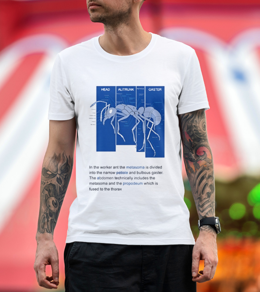 Worker Ant Diagram Head Alitrunk Gaster Metasoma Petiole Biology T-Shirt