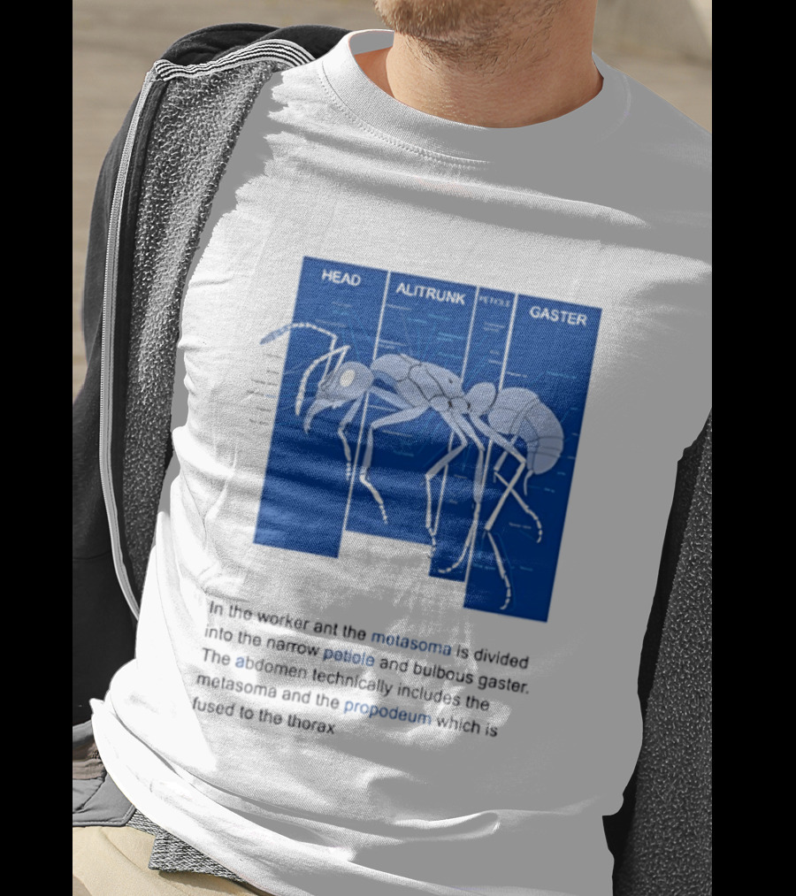 Worker Ant Diagram Head Alitrunk Gaster Metasoma Petiole Biology T-Shirt