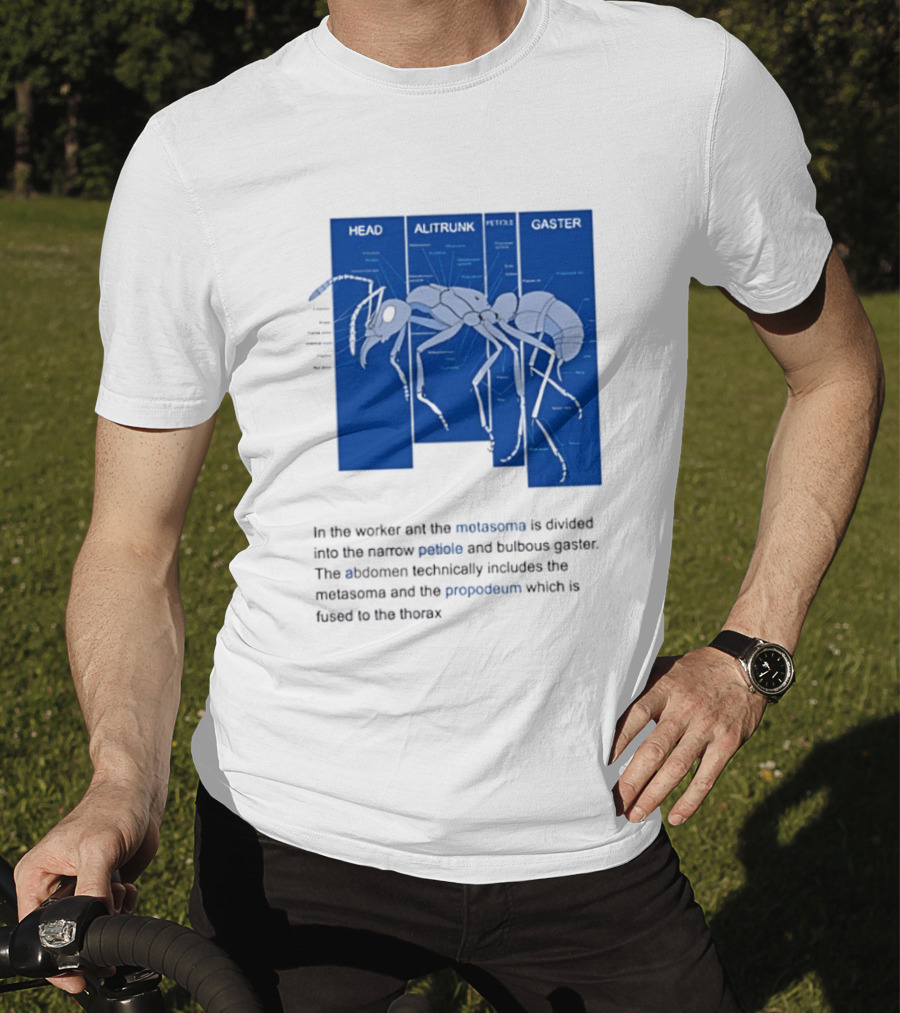 Worker Ant Diagram Head Alitrunk Gaster Metasoma Petiole Biology T-Shirt