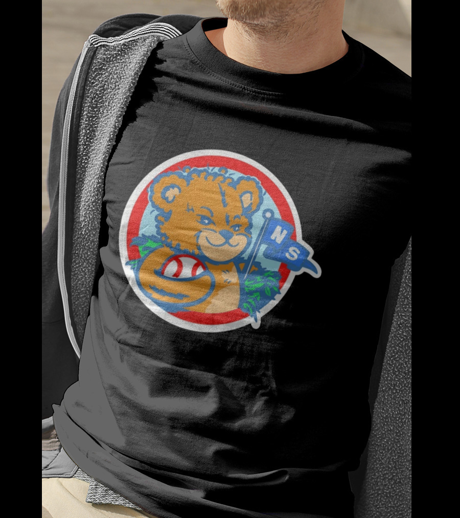 Teddy Bear Holding Baseball NS Pennant Circle T-Shirt