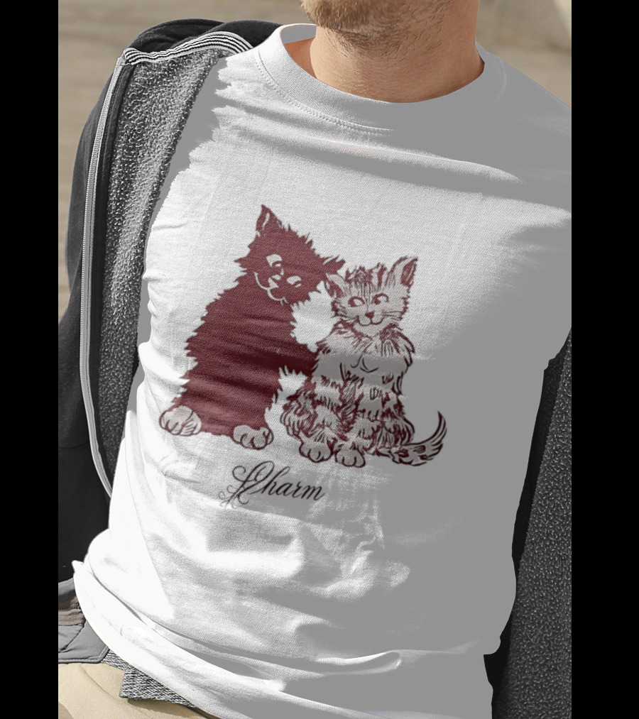 Charm Kittens Cats Hugging T-Shirt