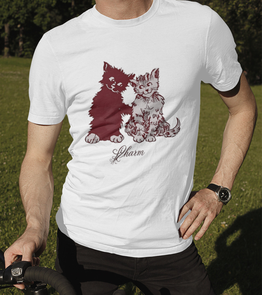 Charm Kittens Cats Hugging T-Shirt