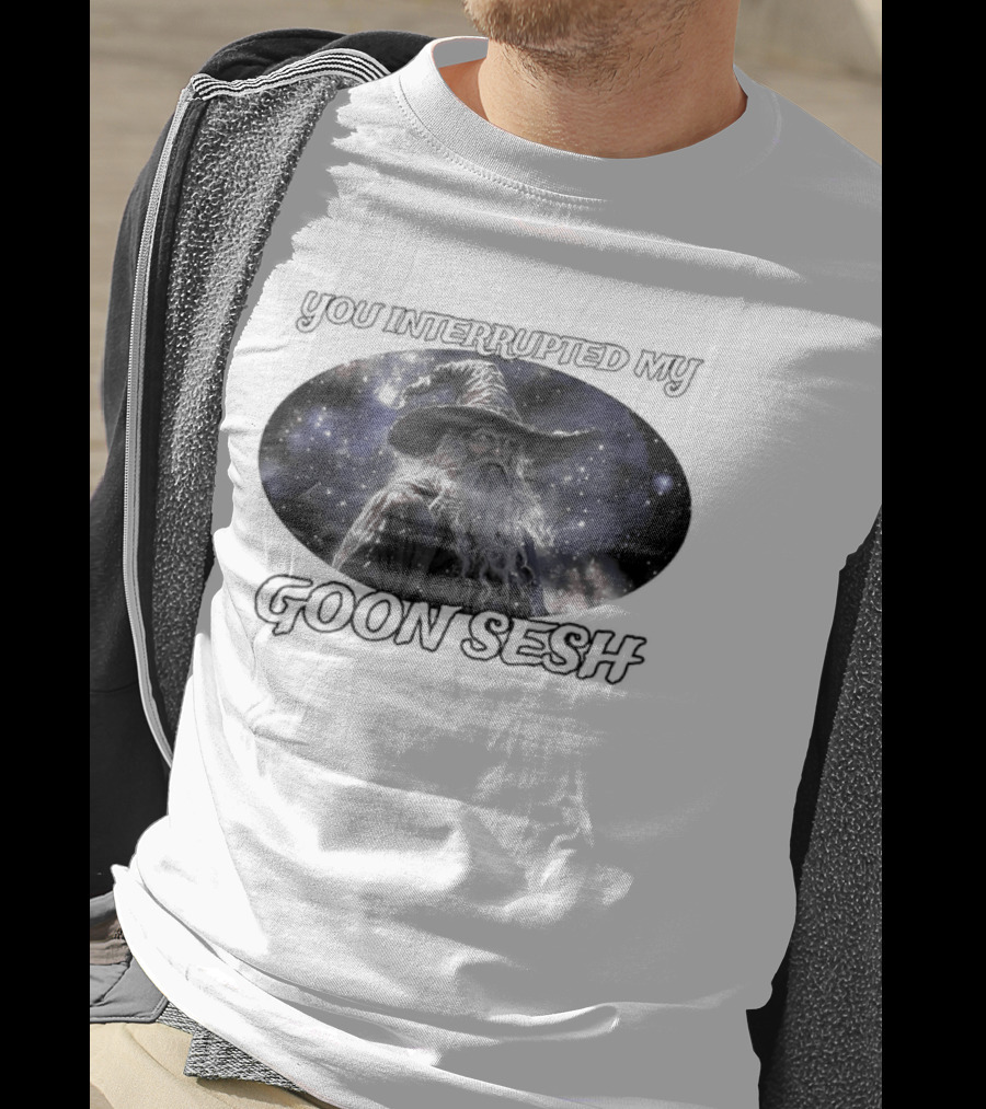You Interrupted My Goon Sesh Wizard T-Shirt