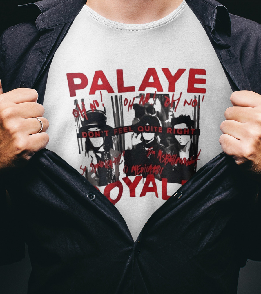 Palaye Royale Don't Feel Quite Right Oh No So Unsatisfied Misunderstood Mediocre T-Shirt