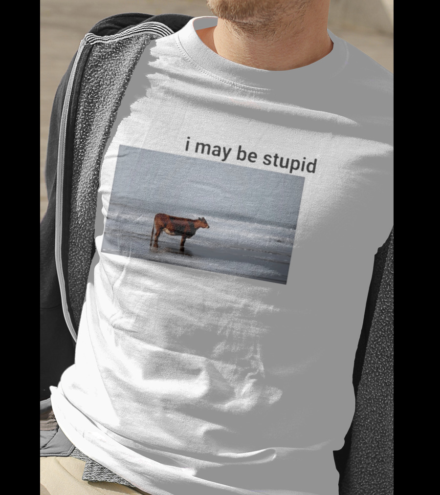 I May Be Stupid Cow At The Beach T-Shirt