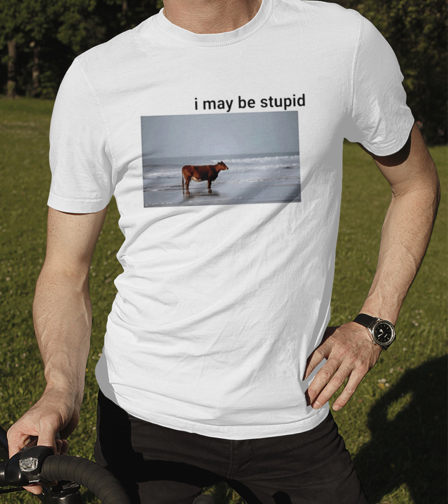 I May Be Stupid Cow At The Beach T-Shirt