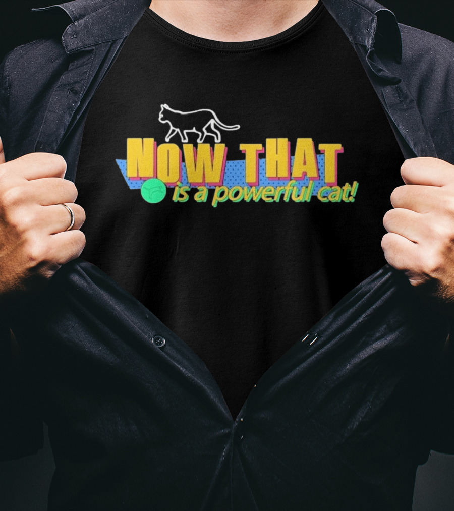 Now That Is A Powerful Cat V2 T-Shirt