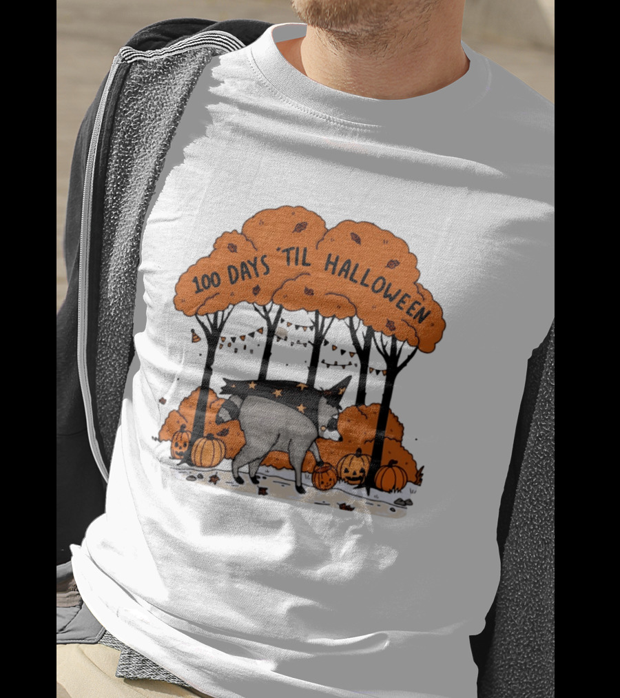 100 Days 'til Halloween Raccoon Wizard Costume In Pumpkin Patch Forest T-Shirt