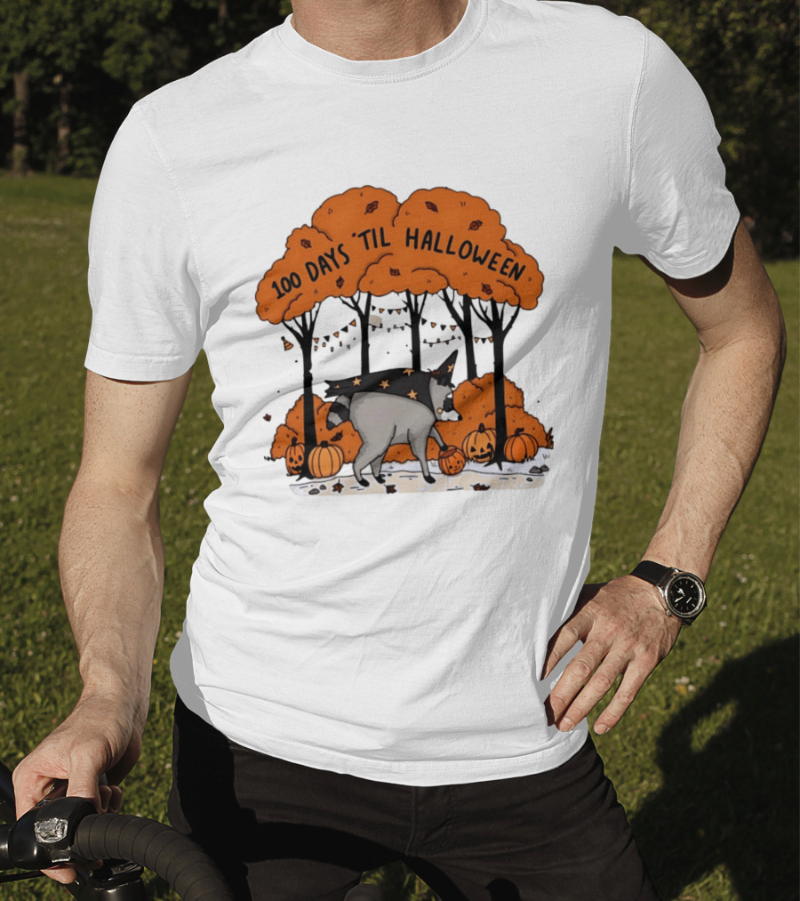 100 Days 'til Halloween Raccoon Wizard Costume In Pumpkin Patch Forest T-Shirt