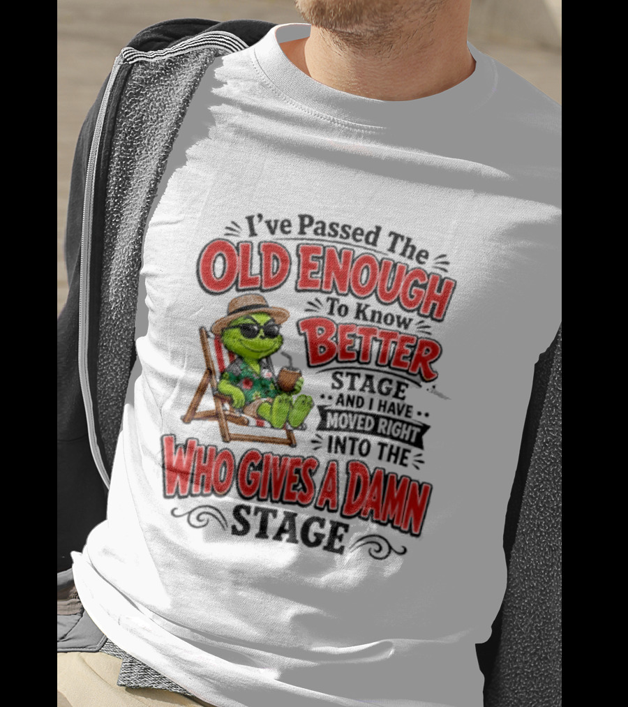 I've Passed Into The Grinch Old Enough To Know Better Who Gives A Damn Stage T-Shirt