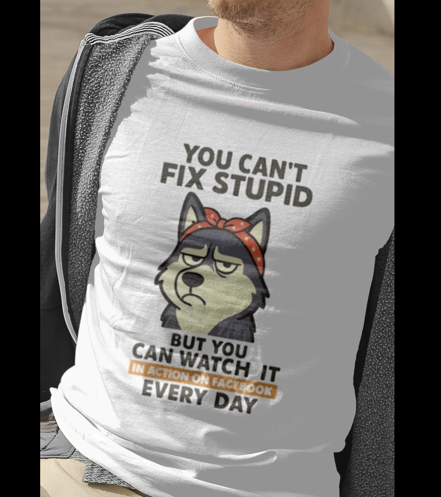 You Can't Fix Stupid But You Can It Every Day Husky T-Shirt
