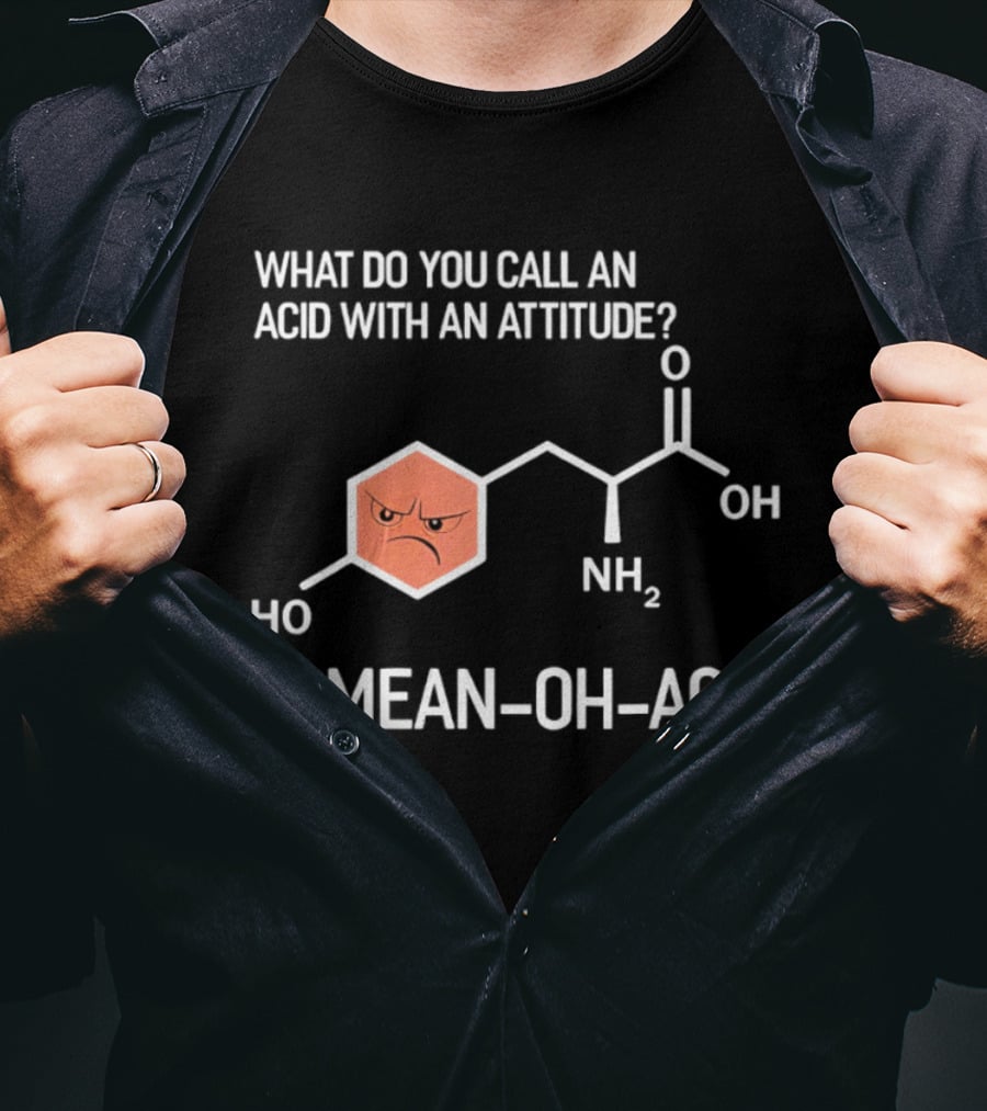 What Do You Call An Acid With An Attitude A Mean Oh Acid Chemistry Pun T-Shirt