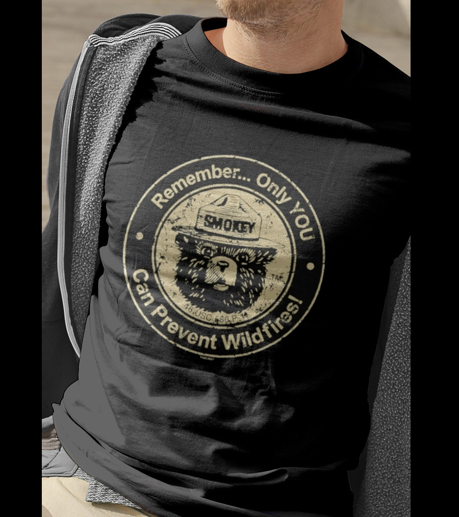 Remember Only You Can Prevent Wildfires Distressed Smokey Bear 16 USC 580p 11 T-Shirt