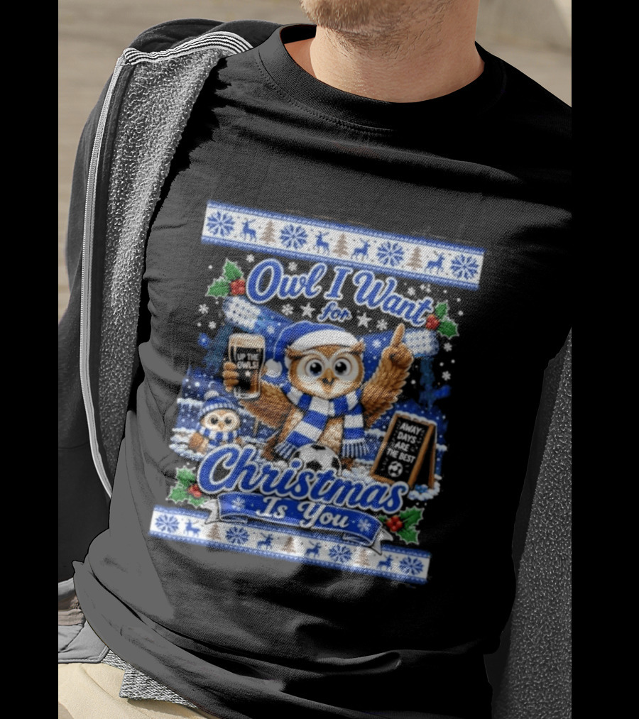 Owl I Want For Christmas Is You Sheffield Wednesday Jumper T-Shirt