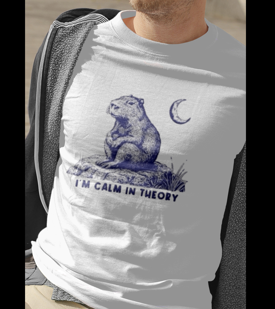 I'm Calm In Theory Capybara Sitting On Rock Under Crescent Moon T-Shirt