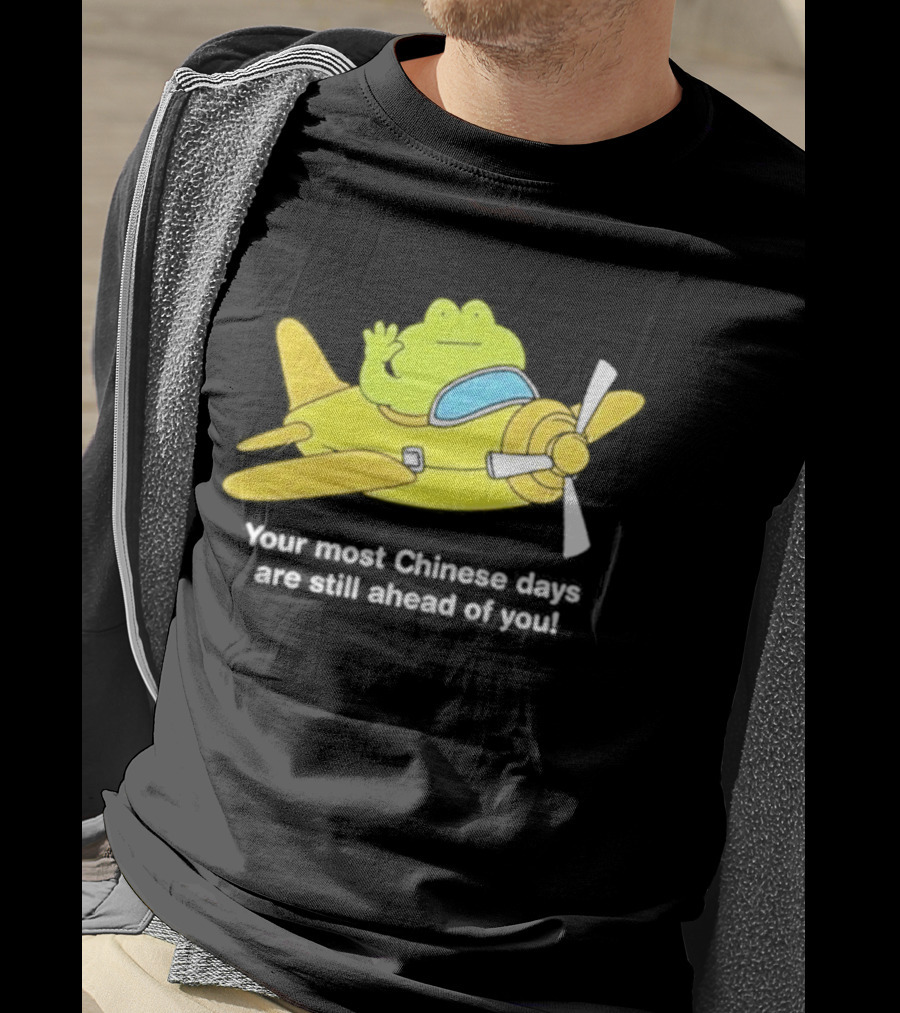 Frog Your Most Chinese Days Are Still Ahead Of You Airplane Scene T-Shirt