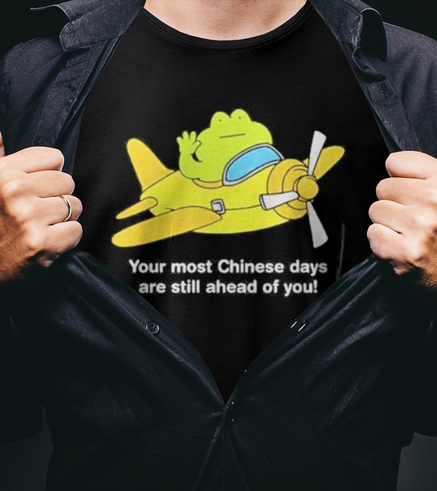 Frog Your Most Chinese Days Are Still Ahead Of You Airplane Scene T-Shirt