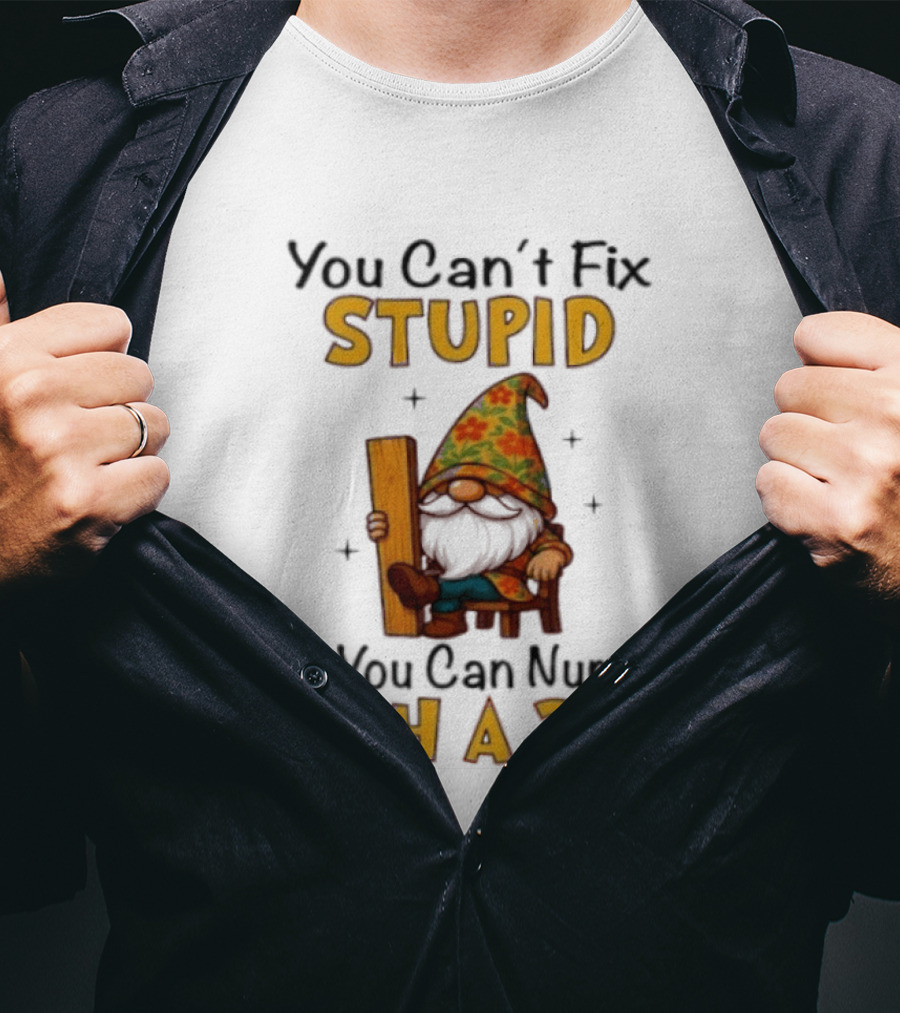 You Can't Fix Stupid But You Can Numb It With A 2x4 Gnome Holding Wood Humor T-Shirt