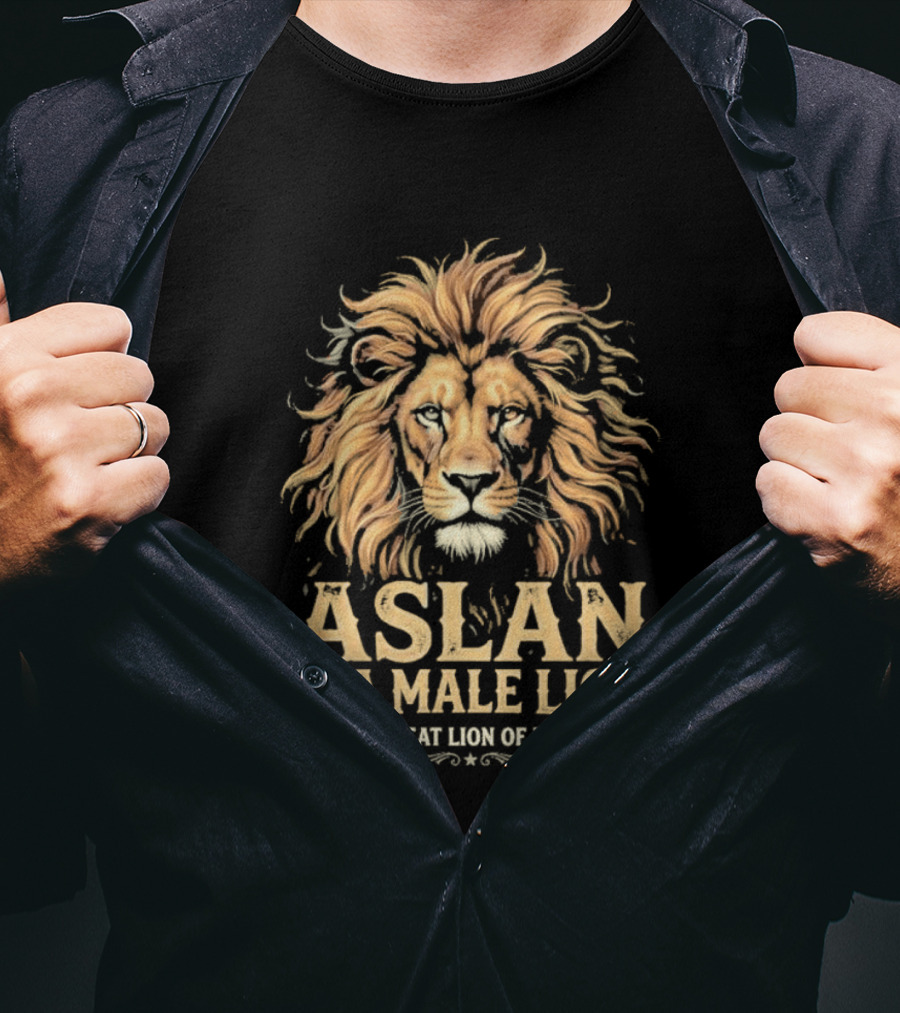 Aslan Is A Male Lion The Great Lion Of Narnia T-Shirt