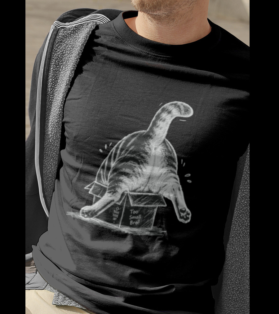 Too Small Bro Tabby Cat Stuck In Box Rear View T-Shirt