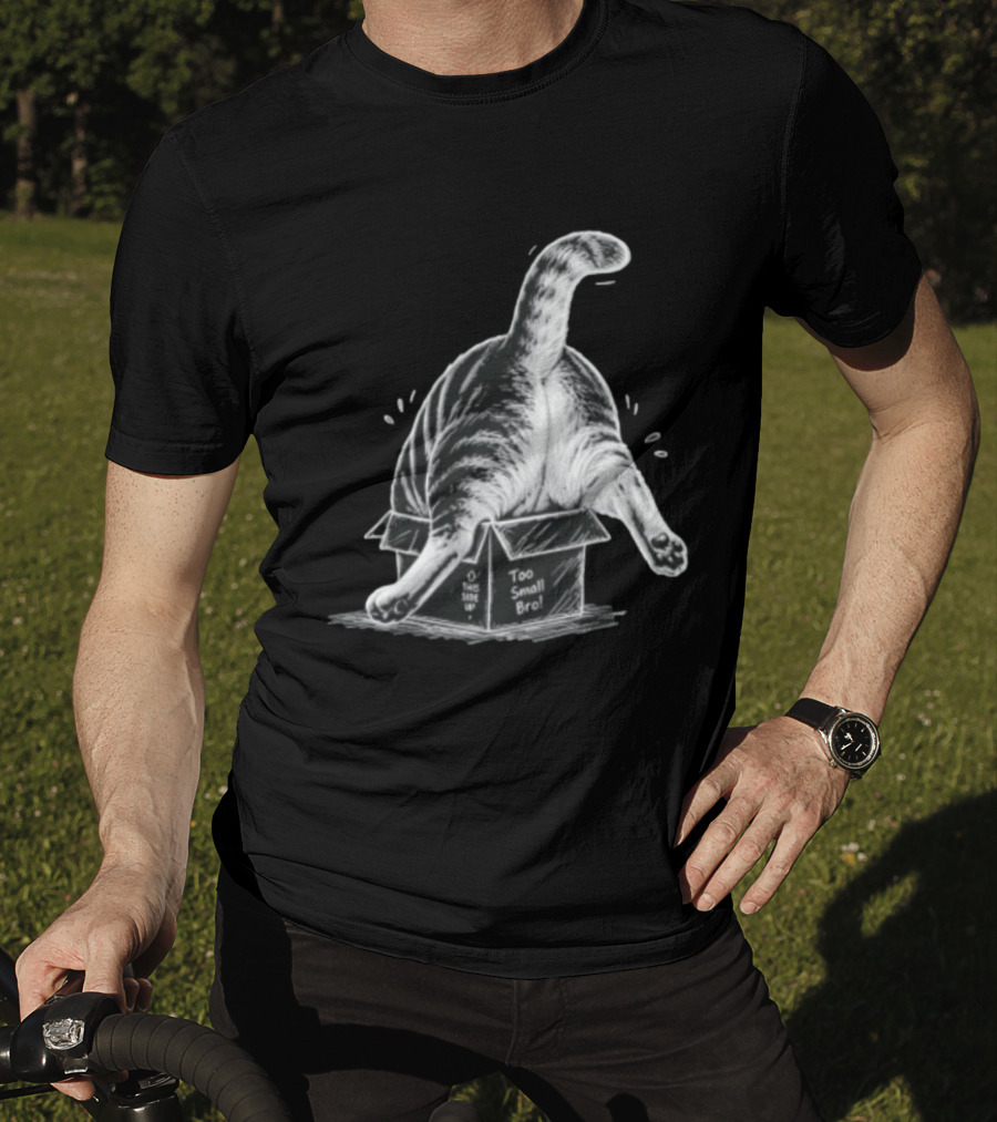 Too Small Bro Tabby Cat Stuck In Box Rear View T-Shirt