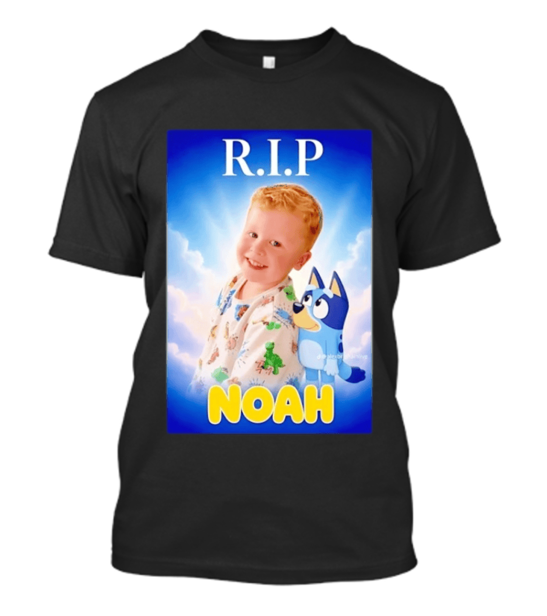 RIP Noah In Loving Memory Bluey T-Shirt